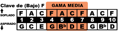 gama media